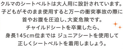 N}̃V[gxg͑lpɐ݌vĂ܂Bqǂ̂܂܎gpƖ̏Փˎ̂̍ۂɎ₨Aϊ댯łB`ChV[g𑲋ƂAg145cmʂ܂ł̓WjAV[ggpĐV[gxg𒅗p܂傤B