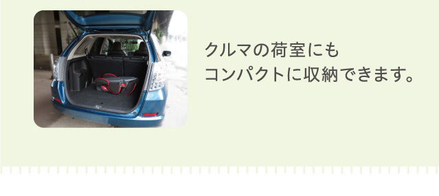 N}̉׎ɂRpNgɎ[ł܂B