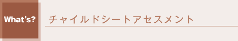 チャイルドシートアセスメント
